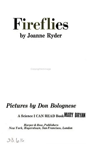 Cover of Fireflies