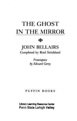 Cover of The Ghost in the Mirror