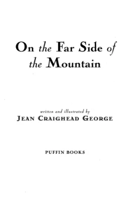 Cover of On the Far Side of the Mountain