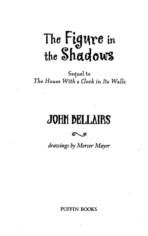 Cover of The Figure in the Shadows