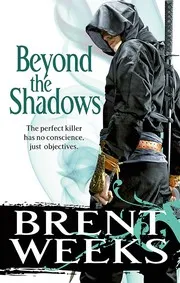 Cover of Beyond the Shadows