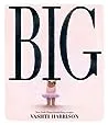 Cover of Big