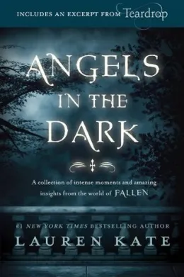 Cover of Angels in the Dark