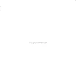 Cover of Song of the Horse
