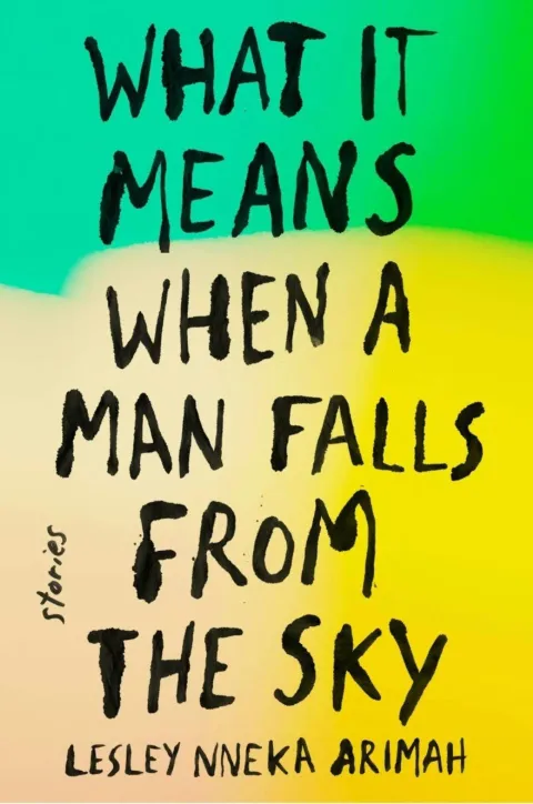 Cover of What it Means when a Man Falls from the Sky