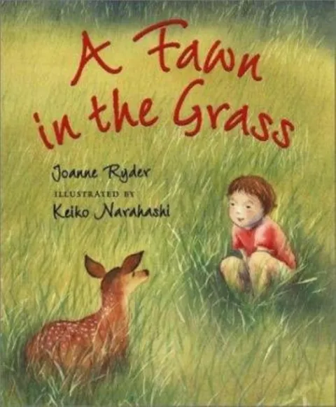 Cover of A Fawn in the Grass