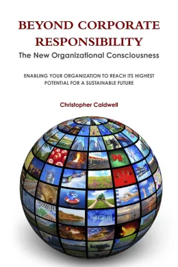 Cover of Beyond Corporate Responsibility