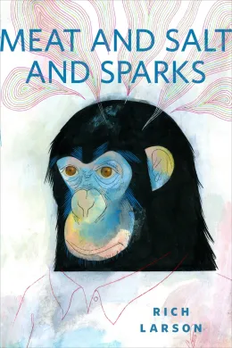 Cover of Meat And Salt And Sparks