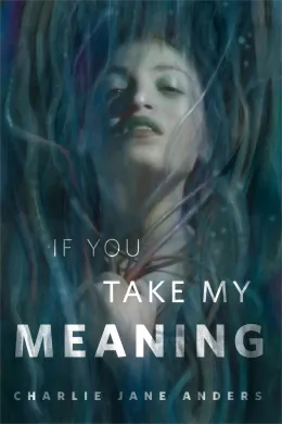 Cover of If You Take My Meaning