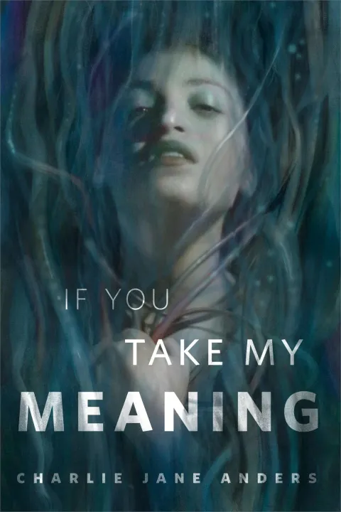 Cover of If You Take My Meaning