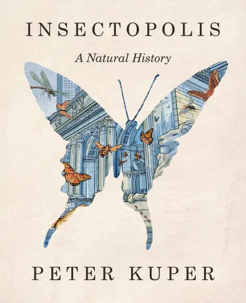Cover of Insectopolis