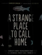Cover of A strange place to call home