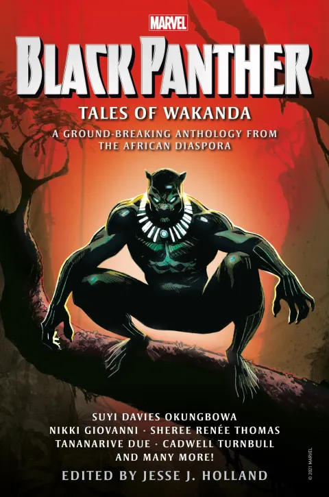 Cover of Black Panther: Tales of Wakanda