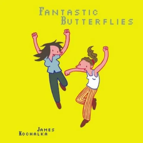 Cover of Fantastic Butterflies