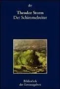 Cover of Der Schimmelreiter. Berlin 1888.