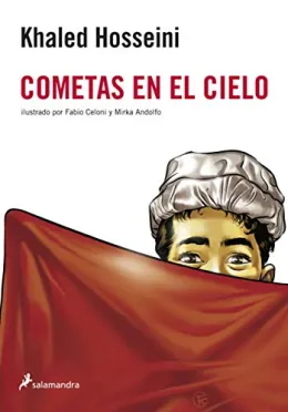 Cover of Cometas en el cielo