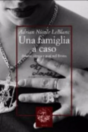 Cover of Una famiglia a caso. Amore, droga e guai nel Bronx
