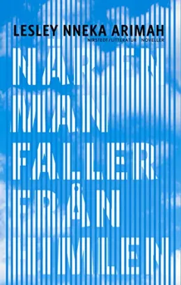 Cover of När en man faller från himlen