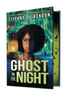 Cover of Ghost in the Night